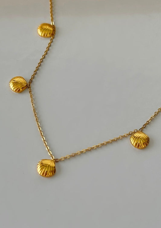 Golden shell